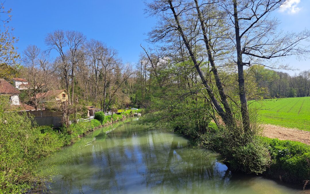 Rando Printemps Crécy-la-chapelle